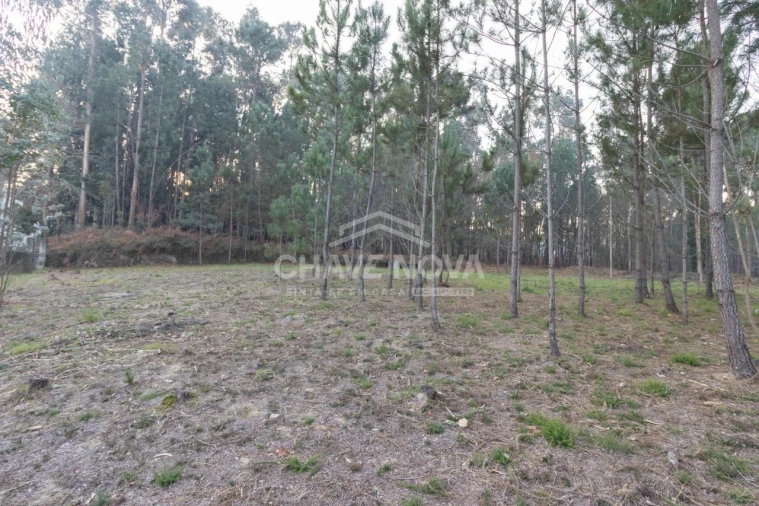 Terreno para Venda em Argoncilhe Foto 9