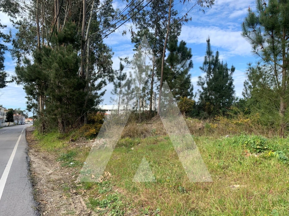 Terreno para Venda em Marinha Grande Foto 10