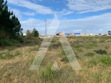 Terreno para Venda em Marinha Grande