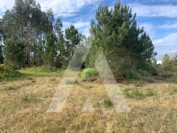 Terreno para Venda em Marinha Grande