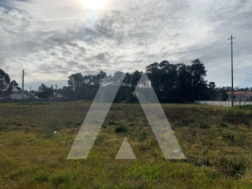 Terreno para Venda em Marinha Grande