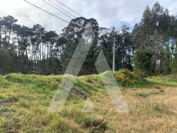 Terreno para Venda em Marinha Grande