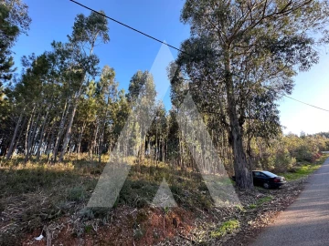 Terreno para Venda em Pussos São Pedro