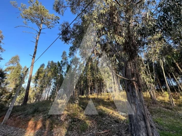 Terreno para Venda em Pussos São Pedro