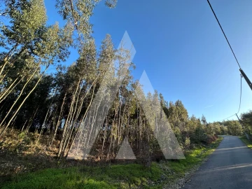 Terreno para Venda em Pussos São Pedro