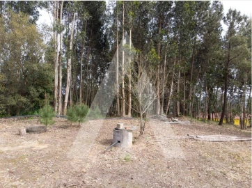 Terreno para Venda em Maçãs de D. Maria