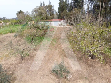Terreno para Venda em Maçãs de D. Maria