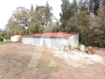 Terreno para Venda em Maçãs de D. Maria