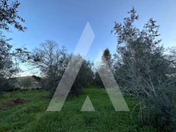 Terreno para Venda em Alvaiázere