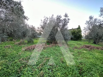 Terreno para Venda em Alvaiázere