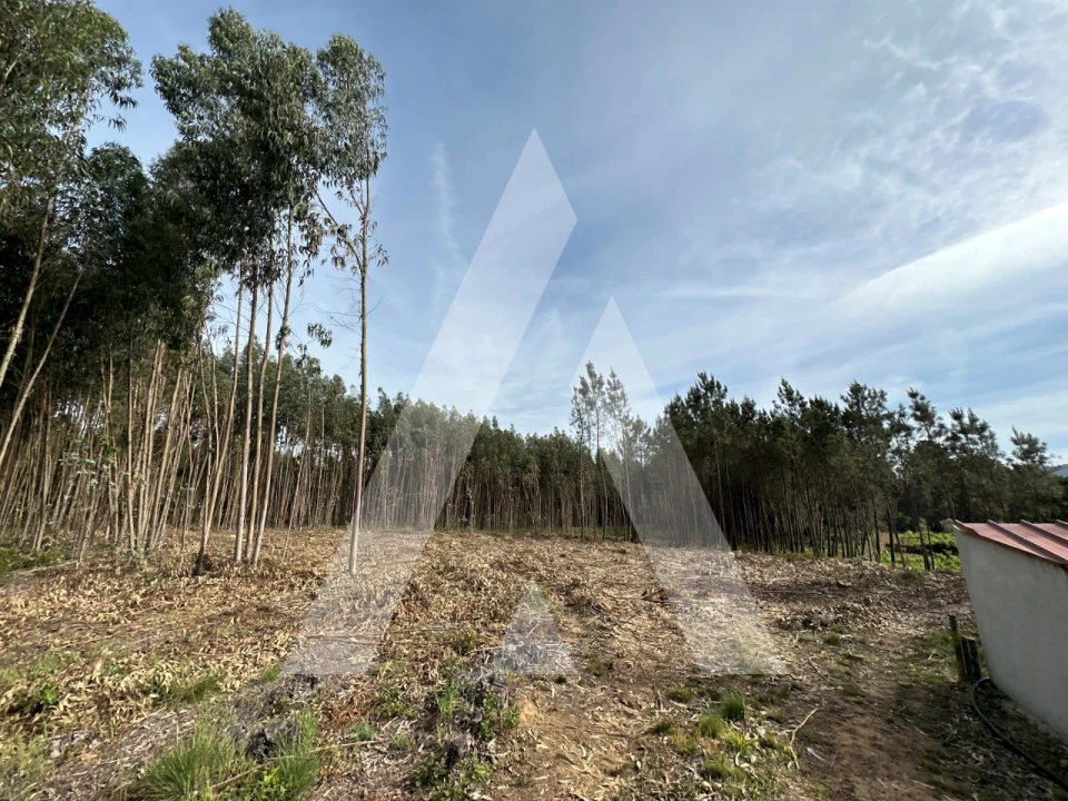 Terreno para Venda em Maçãs de D. Maria Foto 9