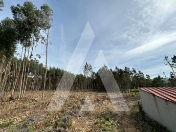 Terreno para Venda em Maçãs de D. Maria