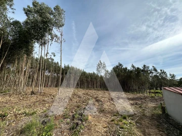 Terreno para Venda em Maçãs de D. Maria