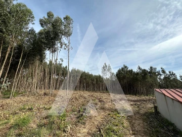 Terreno para Venda em Maçãs de D. Maria