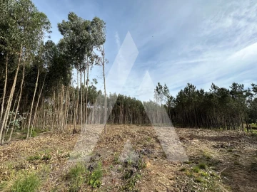 Terreno para Venda em Maçãs de D. Maria