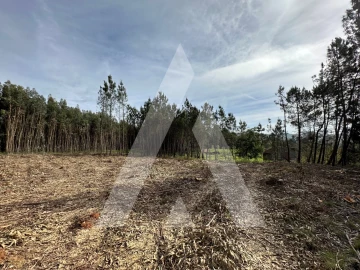 Terreno para Venda em Maçãs de D. Maria