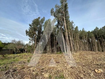 Terreno para Venda em Maçãs de D. Maria