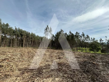 Terreno para Venda em Maçãs de D. Maria