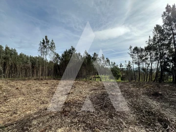 Terreno para Venda em Maçãs de D. Maria
