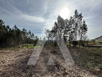 Terreno para Venda em Maçãs de D. Maria