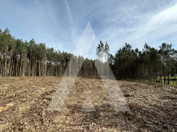 Terreno para Venda em Maçãs de D. Maria