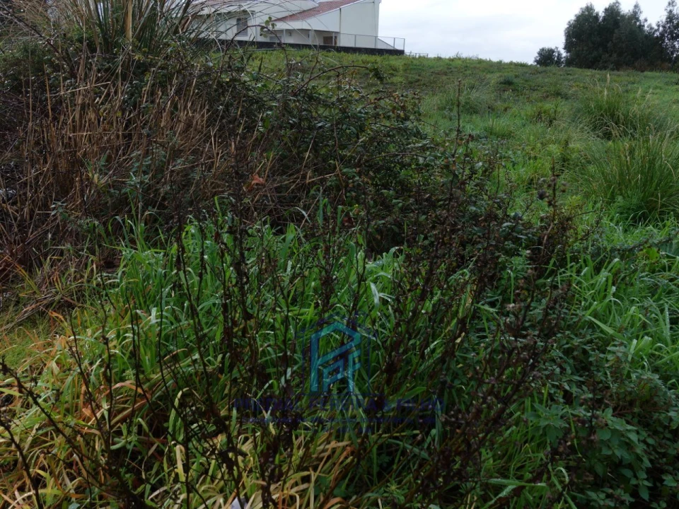 Terreno P/ Prédio para Venda em Fânzeres e São Pedro da Cova Foto 4
