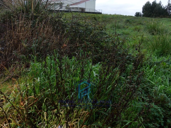 Terreno P/ Prédio para Venda em Fânzeres e São Pedro da Cova Foto 4