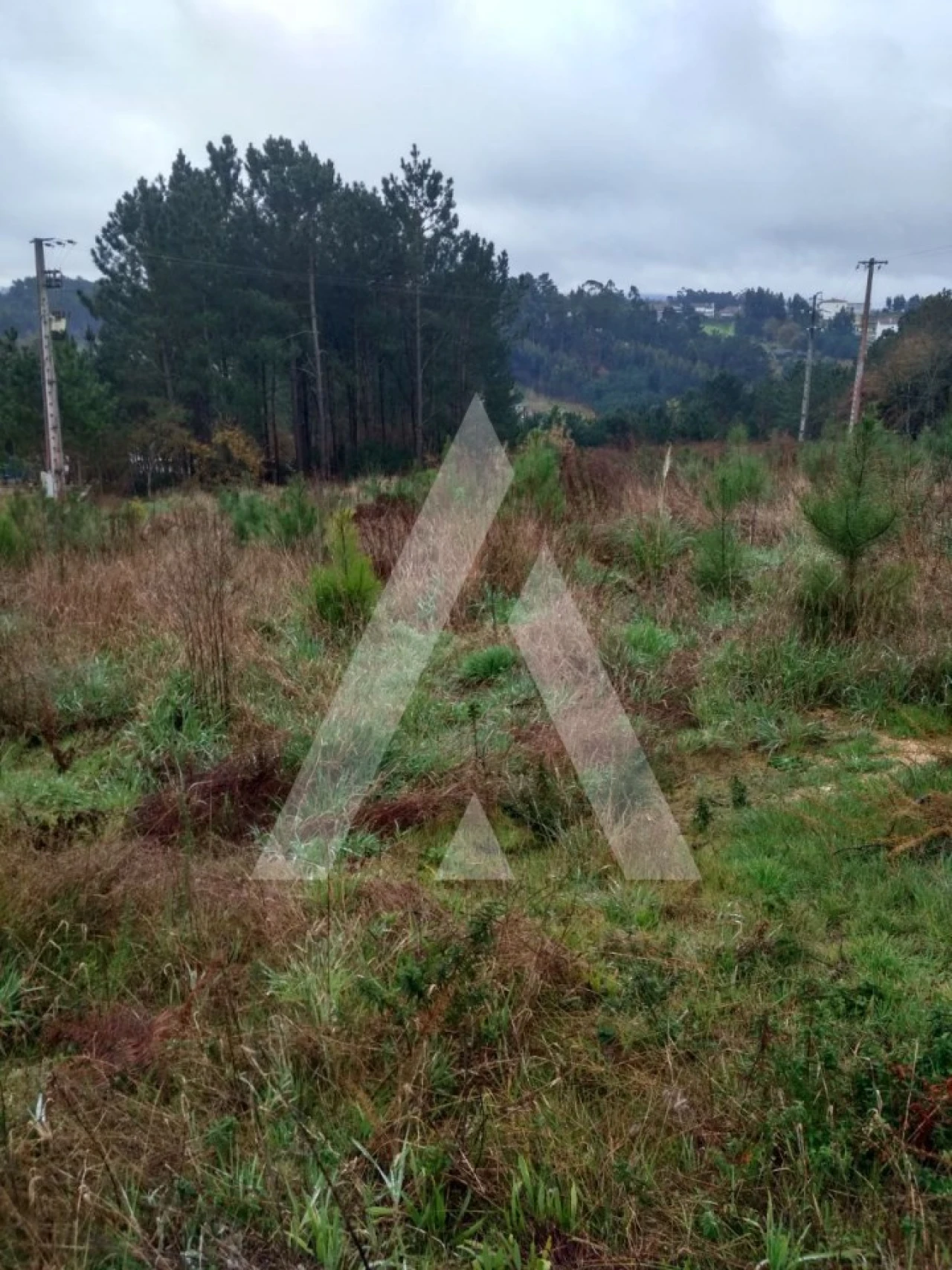 Terreno para Venda em Leiria, Pousos, Barreira e Cortes Foto 10