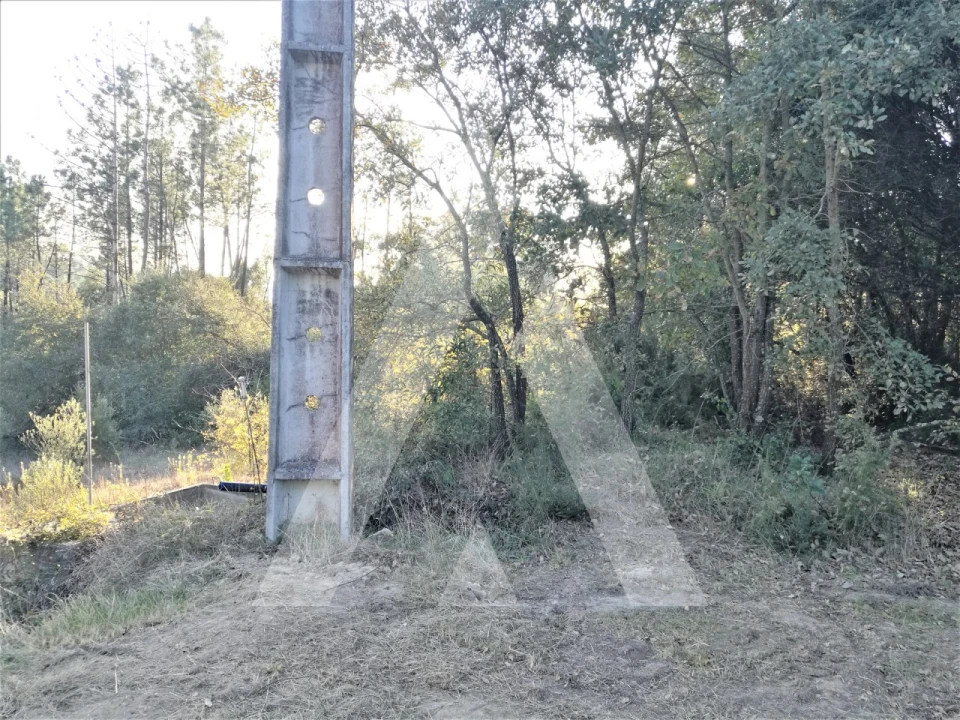 Terreno para Venda em Leiria, Pousos, Barreira e Cortes Foto 17