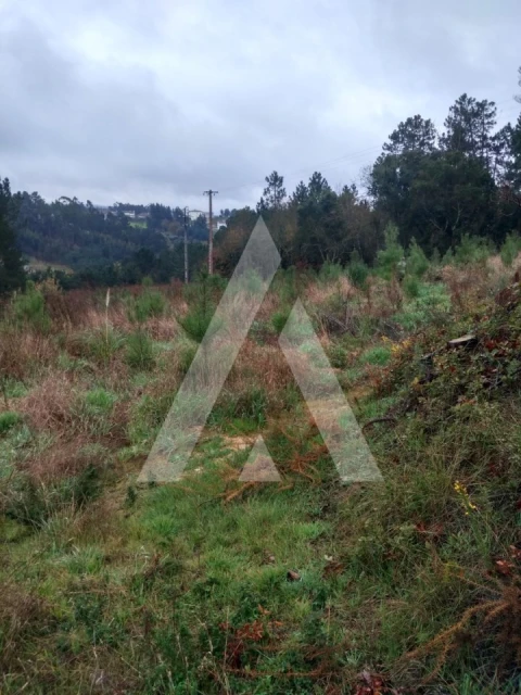Terreno para Venda em Leiria, Pousos, Barreira e Cortes
