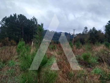 Terreno para Venda em Leiria, Pousos, Barreira e Cortes