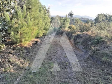 Terreno para Venda em Leiria, Pousos, Barreira e Cortes