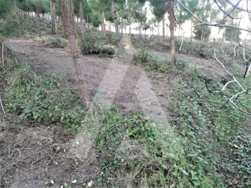 Terreno para Venda em Leiria, Pousos, Barreira e Cortes