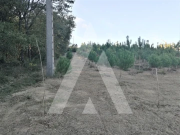 Terreno para Venda em Leiria, Pousos, Barreira e Cortes