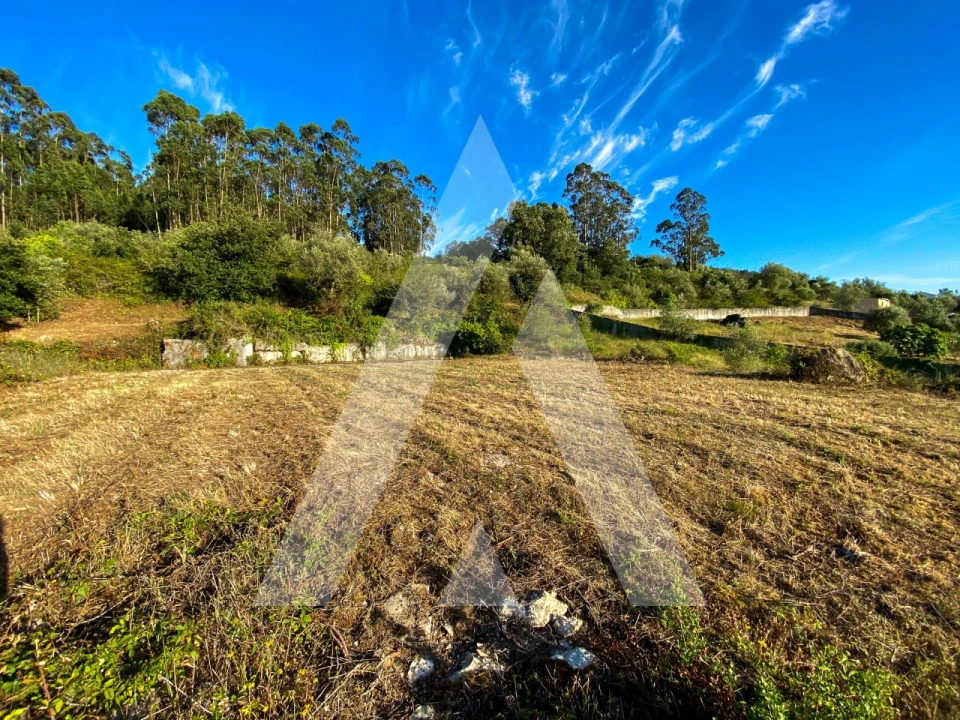 Terreno para Venda em Alqueidão da Serra Foto 14