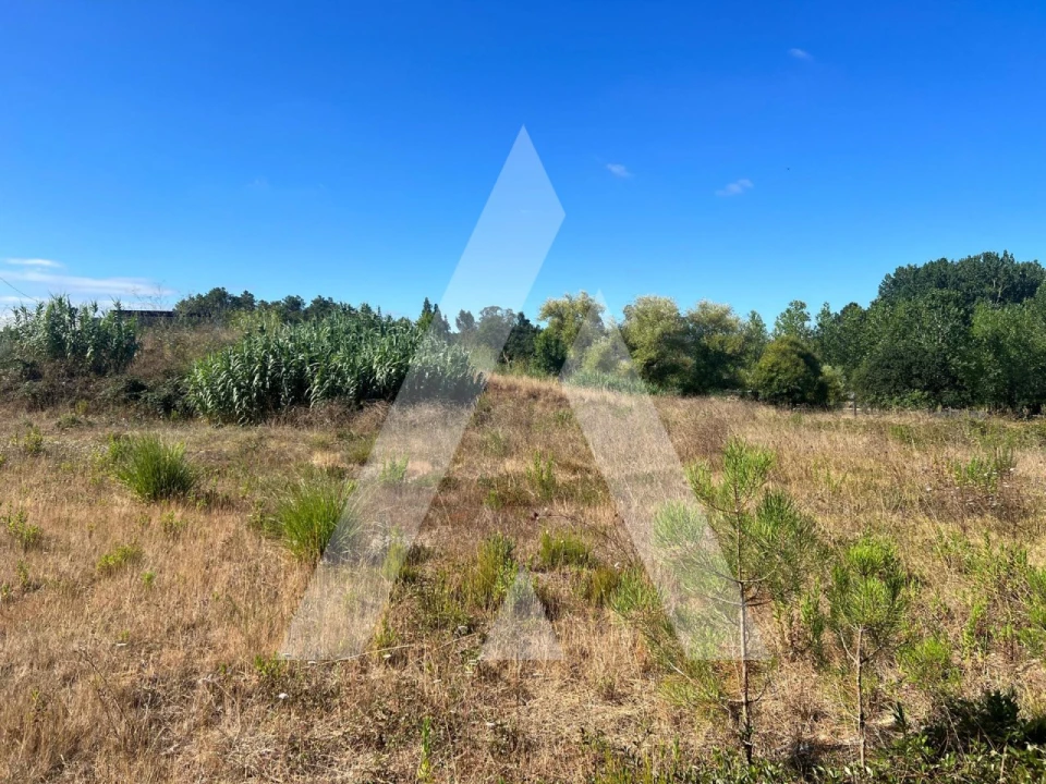 Terreno para Venda em Amor Foto 3