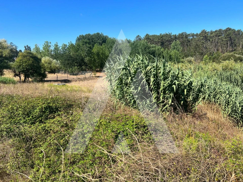 Terreno para Venda em Amor Foto 7