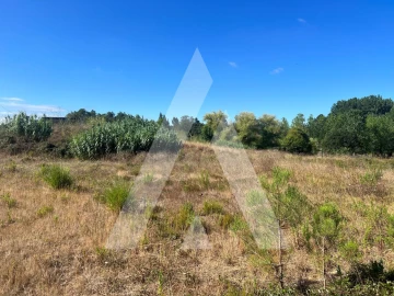 Terreno para Venda em Amor