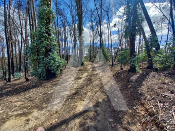 Terreno para Venda em Espite