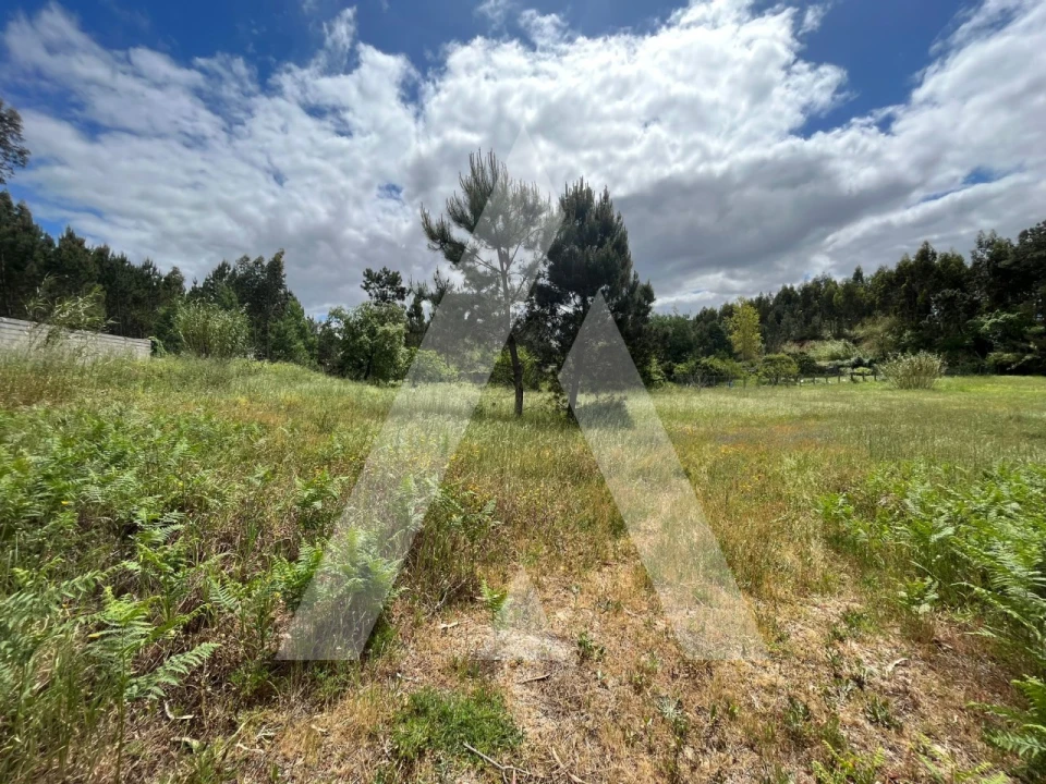 Terreno para Venda em Marrazes e Barosa Foto 8