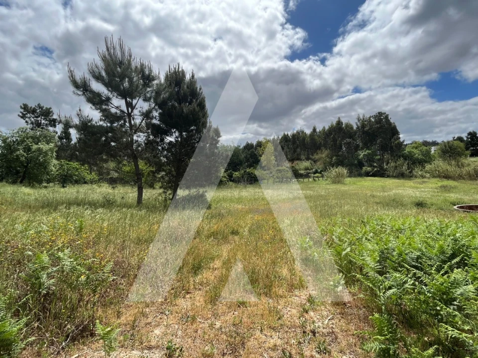 Terreno para Venda em Marrazes e Barosa Foto 9