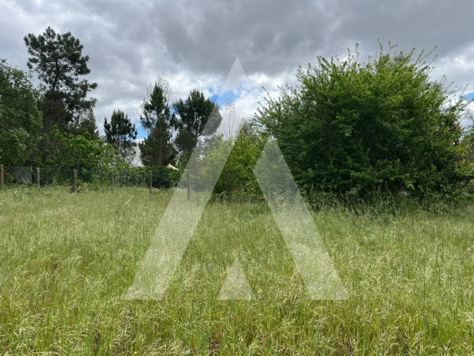 Terreno para Venda em Marrazes e Barosa Foto 15