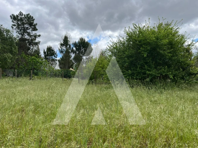 Terreno para Venda em Marrazes e Barosa Foto 15