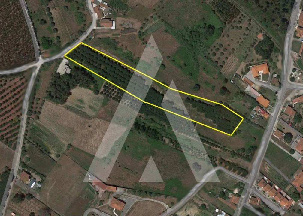 Terreno para Venda em Batalha Foto 1