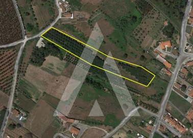 Terreno para Venda em Batalha