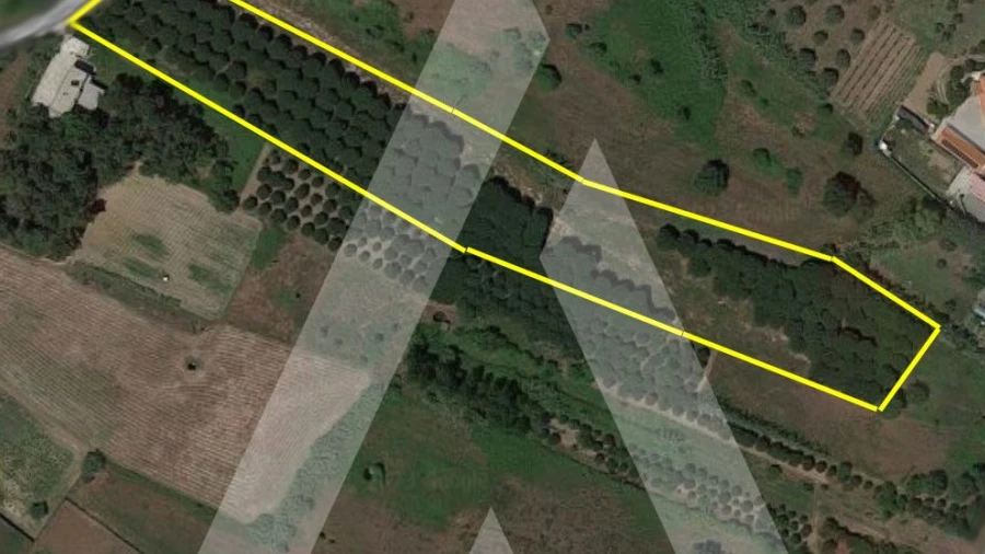 Terreno para Venda em Batalha