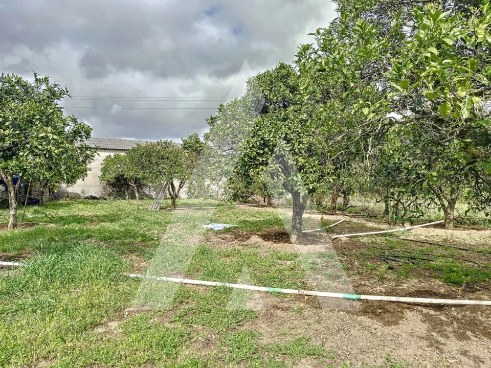 Terreno para Venda em Parceiros e Azoia Foto 1