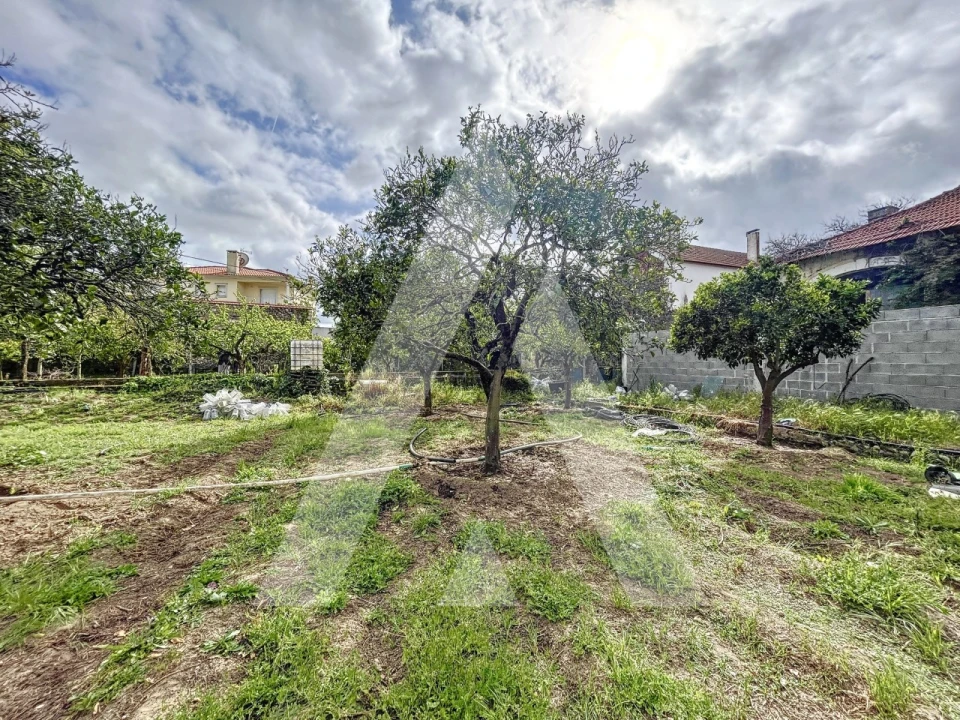 Terreno para Venda em Parceiros e Azoia Foto 5