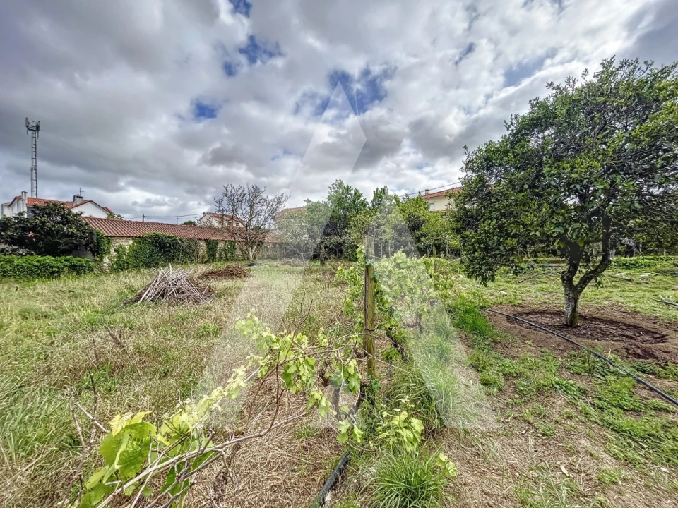 Terreno para Venda em Parceiros e Azoia Foto 6