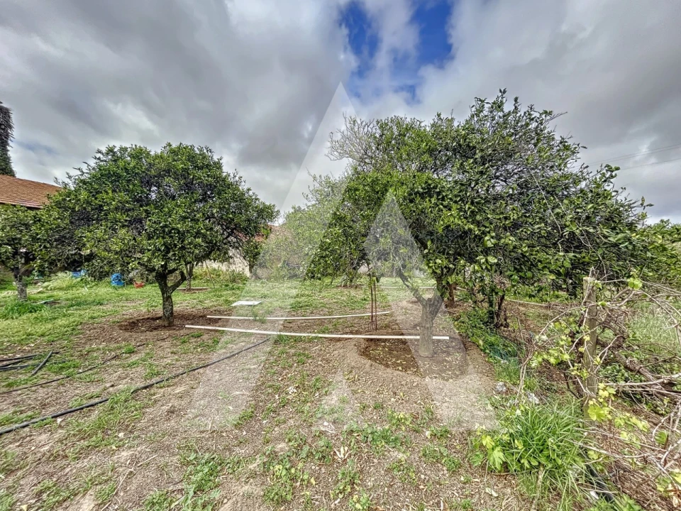 Terreno para Venda em Parceiros e Azoia Foto 7